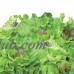 9-Pod Heirloom Salad Greens   565846658